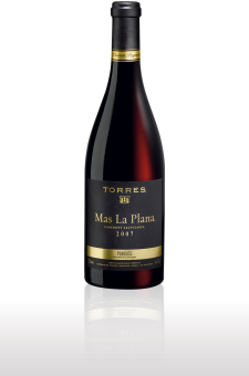 Mas La Plana