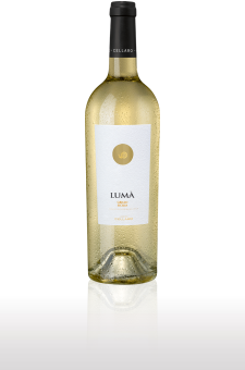 Lumá Grillo