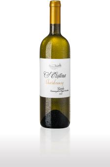 Santa Cristina Chardonnay