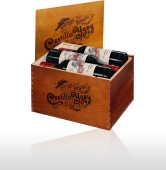 Castillo Ygay 2004 online kaufen
