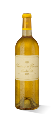 Ch�teau d'Yquem 2007 online kaufen