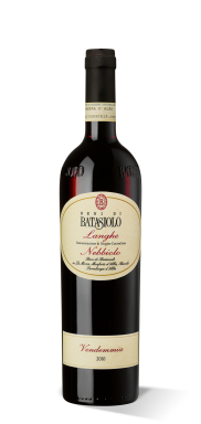 Nebbiolo Langhe 2010 online kaufen