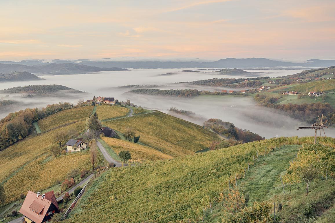 Steiermark Österreich Wein