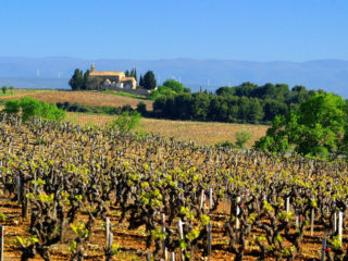 weinberge Corbieres
