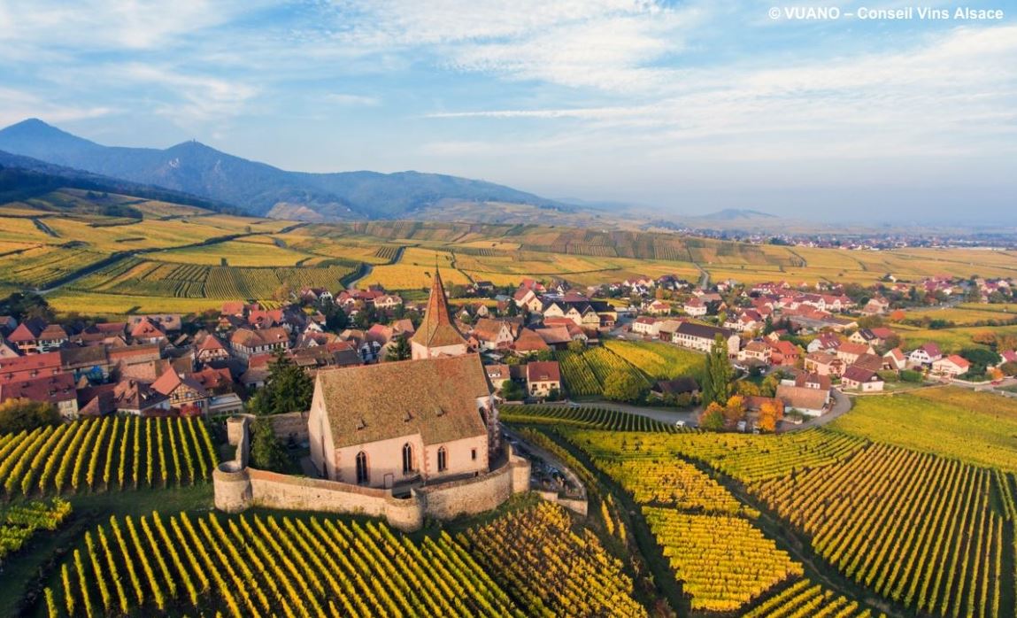 Elsass landschaft weinberg kloster